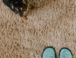 Carpet Styles for Every Living Room Aesthetic