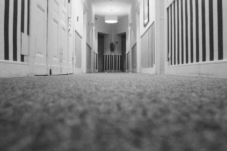Carpet - Low Angle Photo of Hallway Inside Closed Room
