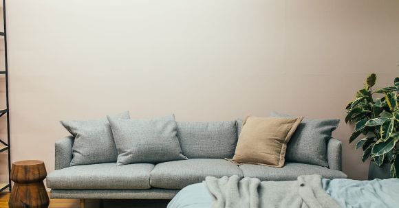 Sofa - Cozy sofa and bed in contemporary studio apartment